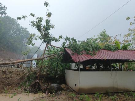 Musim Hujan Tiba, Warga Dihimbau Lebih Waspada